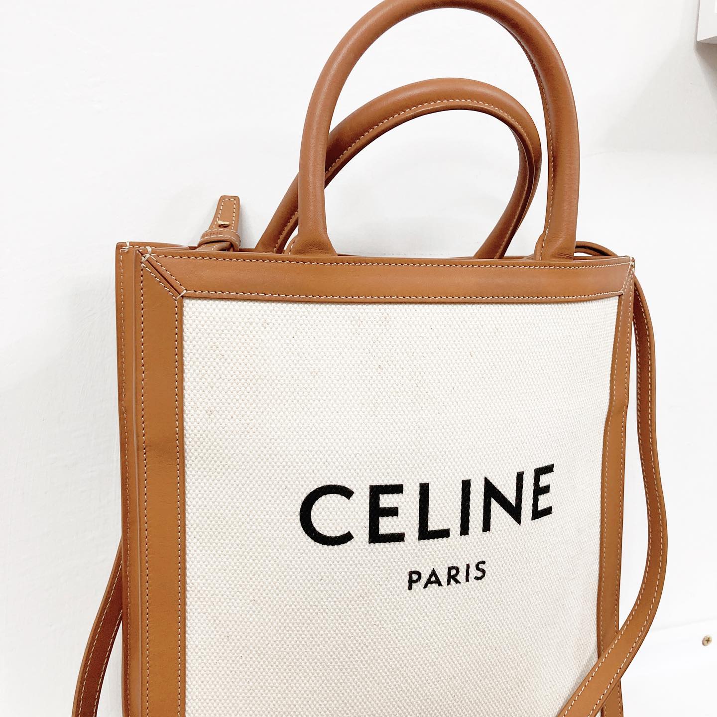Celine Small Vertical Cabas in Canvas