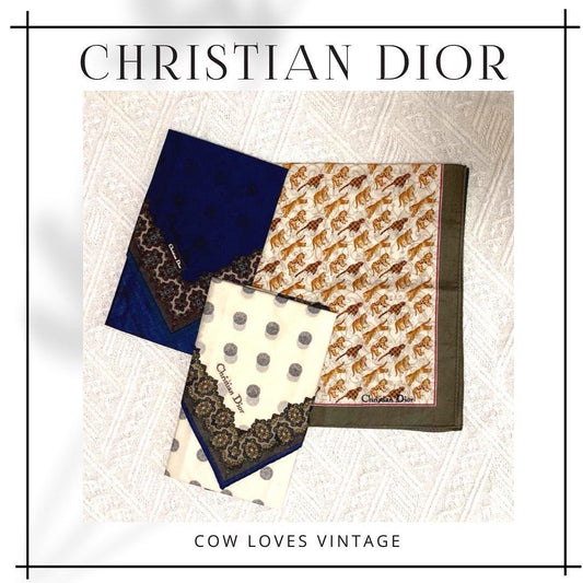 Christian Dior Scarves 方巾